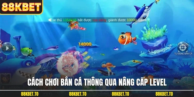 Cách chơi bắn cá thông qua nâng cấp level
