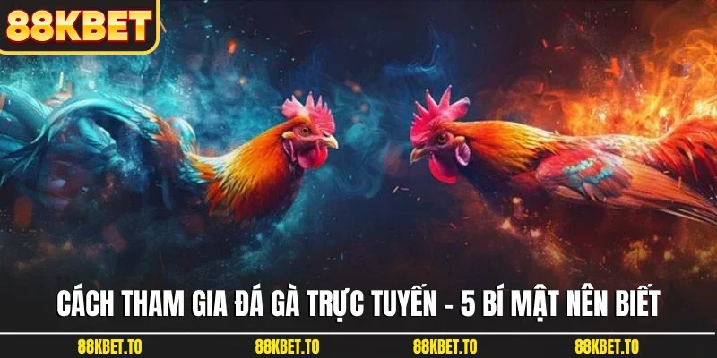 Cách tham gia đá gà trực tuyến