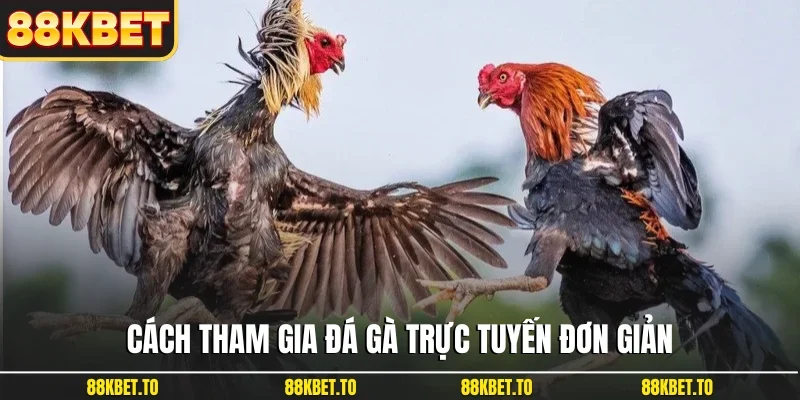 Cách tham gia đá gà trực tuyến đơn giản