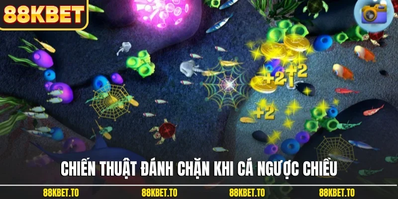 Chiến thuật đánh chặn khi cá ngược chiều
