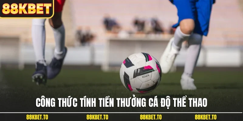 Công thức tính tiền thưởng cá độ thể thao