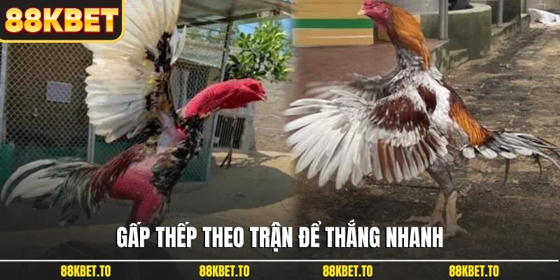 Gấp thếp theo trận để thắng nhanh