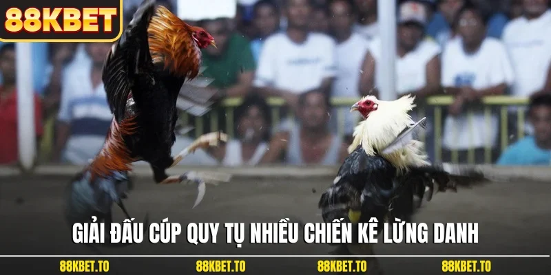 Giải đấu cúp quy tụ nhiều chiến kê lừng danh