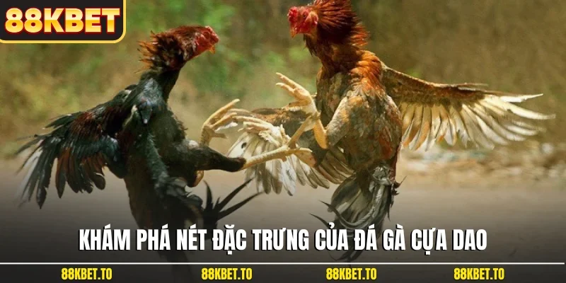 Khám phá nét đặc trưng của đá gà cựa dao