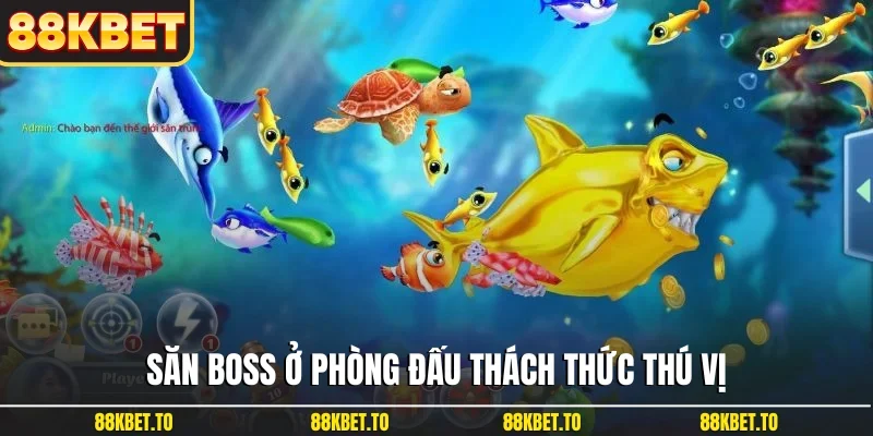 Săn boss ở phòng đấu thách thức thú vị