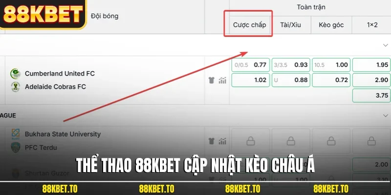 Thể thao 88KBET cập nhật kèo châu Á