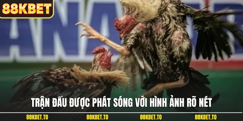 Trận đấu được phát sóng với hình ảnh rõ nét